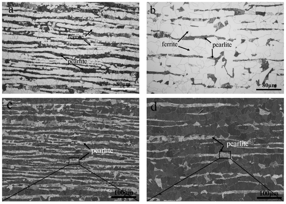 Four optical and scanning electron micrographs compare ferrite–pearlite banding in two U-section steels, with original phase labels and 80 and 100 micrometre scale bars.