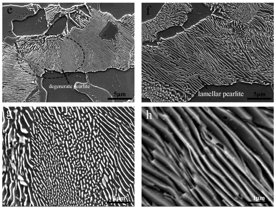 Four high-magnification SEM panels compare degenerate and lamellar pearlite in two U-section steels.