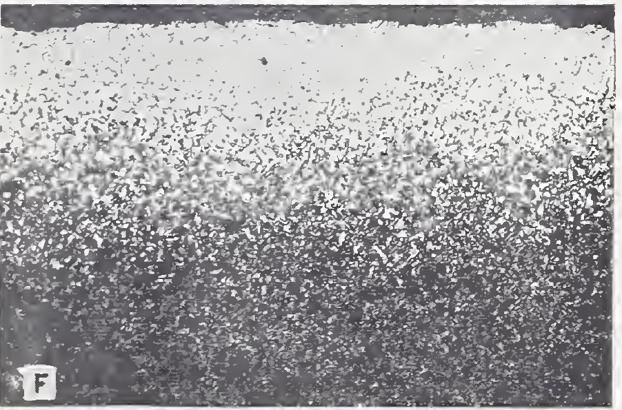 Historical NBS optical micrograph with a pale decarburized surface region above the darker hardened interior.